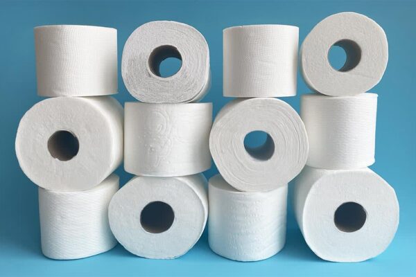 where is charmin toilet paper made