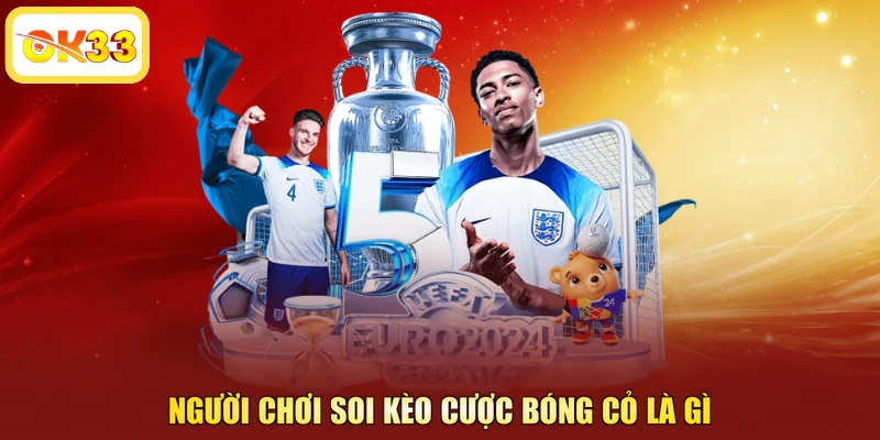 Người chơi soi kèo cược bóng cỏ là gì
